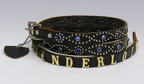 テンダーロイン×HTC ナロースタッズベルト 1ST