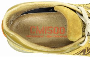 nonnative×NB CM1500 NC COYOTE2