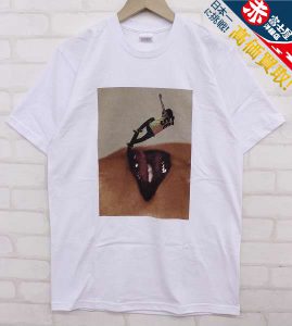 Supreme 15aw David Sims Tee フォトプリントTシャツ シュプリーム